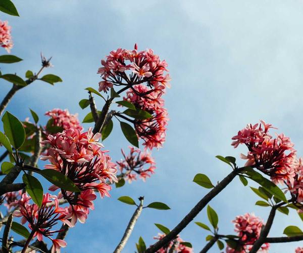 Kunst im Bad - hero inspiration