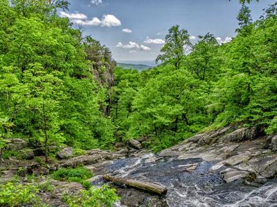 Zum tanzenden Einhorn Illustration